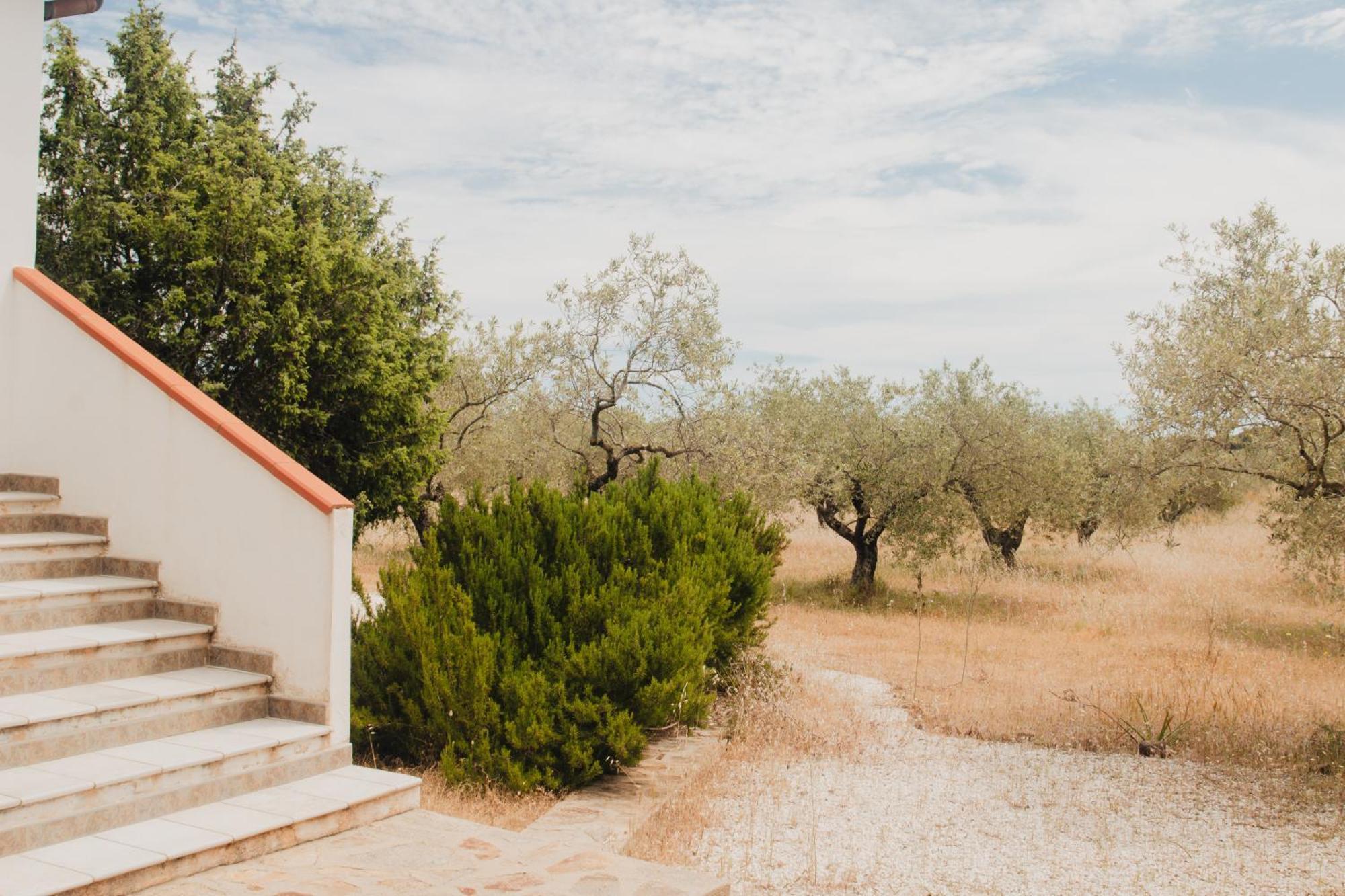 Casa Sa Curcurica By Casa-Orosei Villa Cala Liberotto Exterior photo